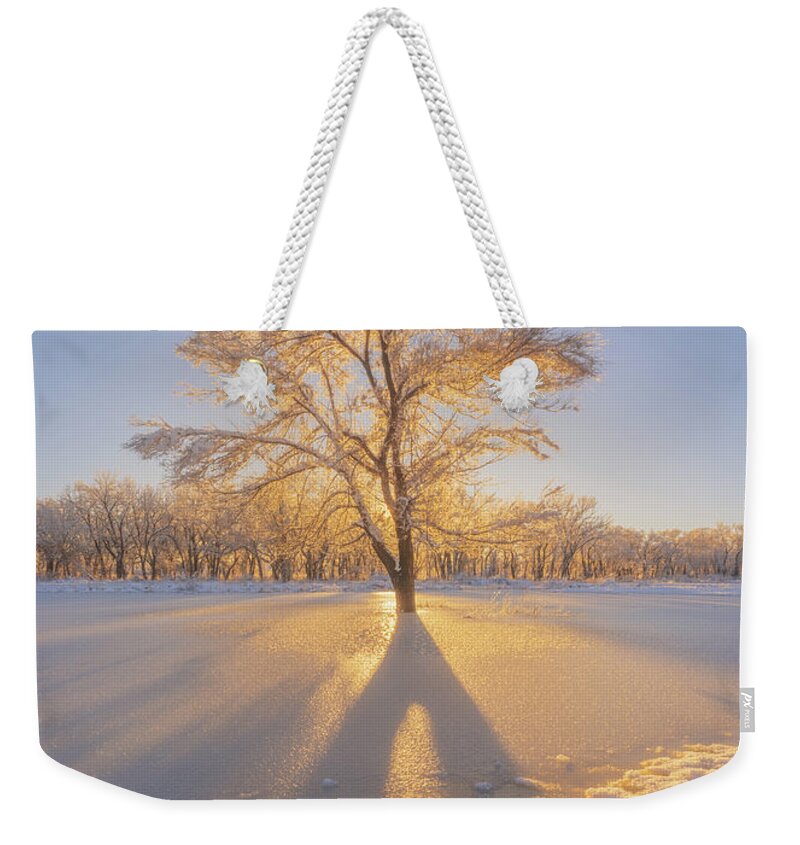 Light Weekender Tote Bag featuring the photograph The Golden Tree by Darren White