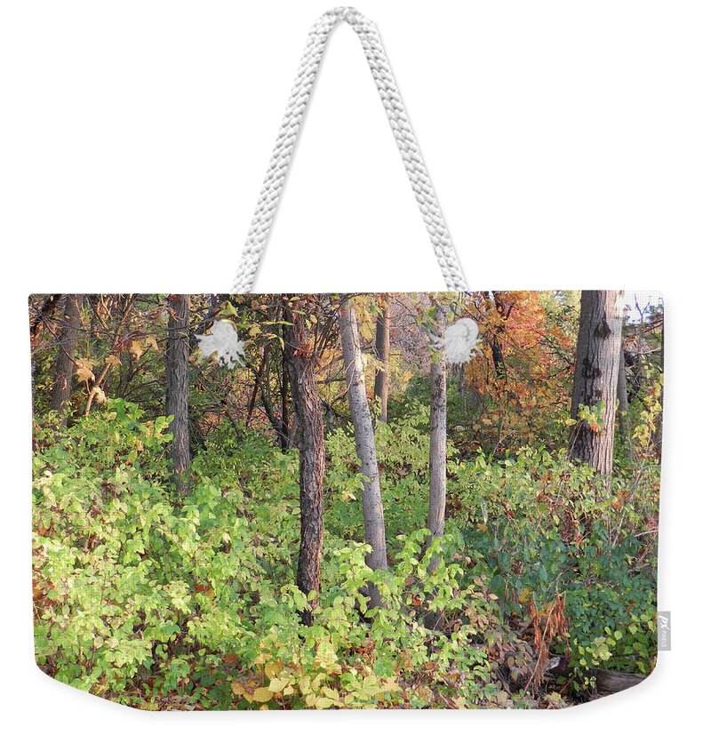 Green Ground Covering Weekender Tote Bag featuring the photograph The Green Ground Covering in the Autumn Woods by Lise Winne