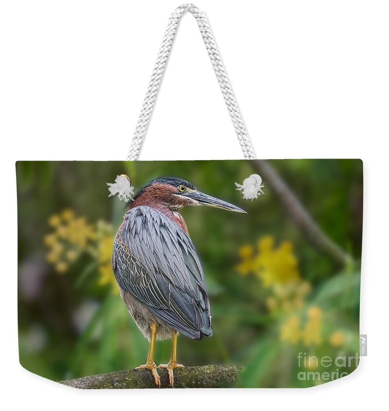 Birds Weekender Tote Bag featuring the painting The Green Heron and Orchids by Judy Kay