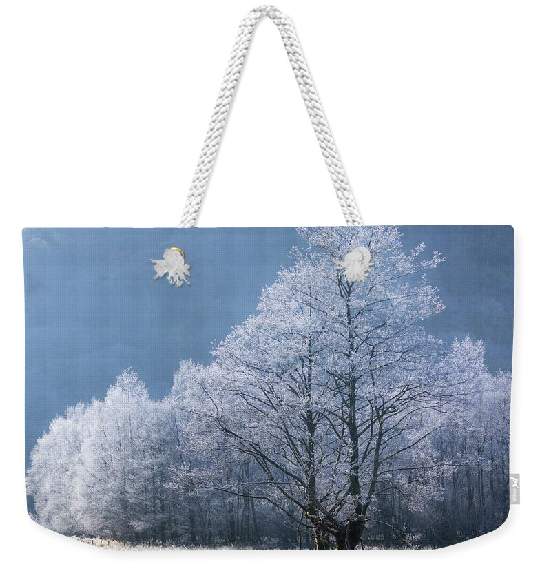 Ice Weekender Tote Bag featuring the photograph The Ice Dancers by Anita Nicholson