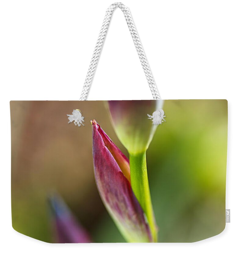 Iridaceae Weekender Tote Bag featuring the photograph The Iris Leaf by Joy Watson