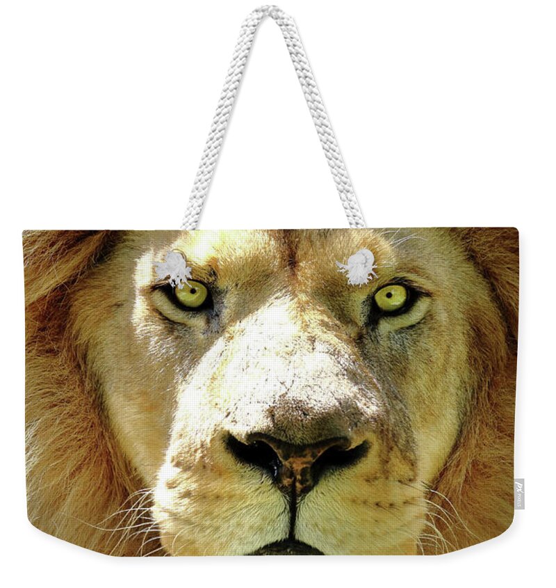 Lion Weekender Tote Bag featuring the photograph The King by Lens Art Photography By Larry Trager