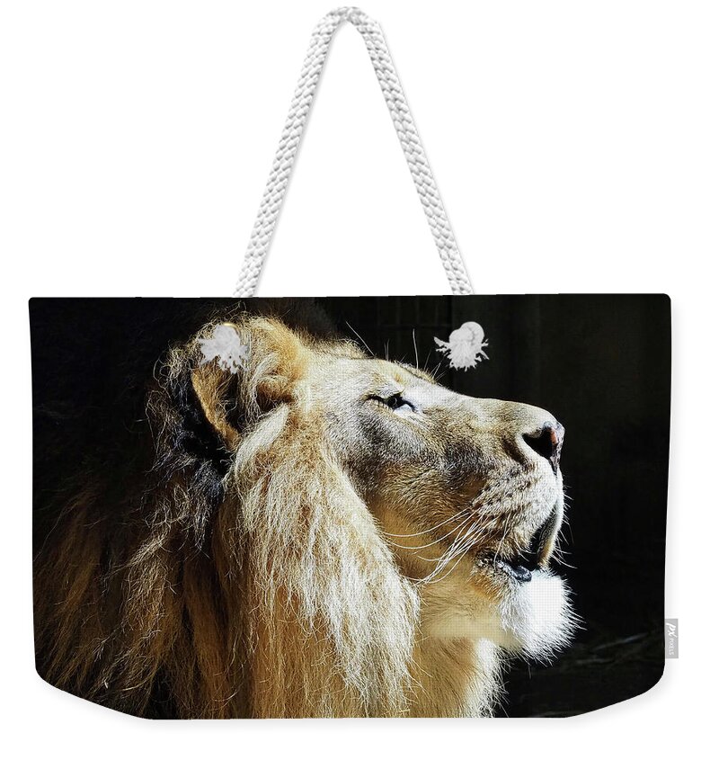 African Lion Weekender Tote Bag featuring the photograph The King by Scott Olsen