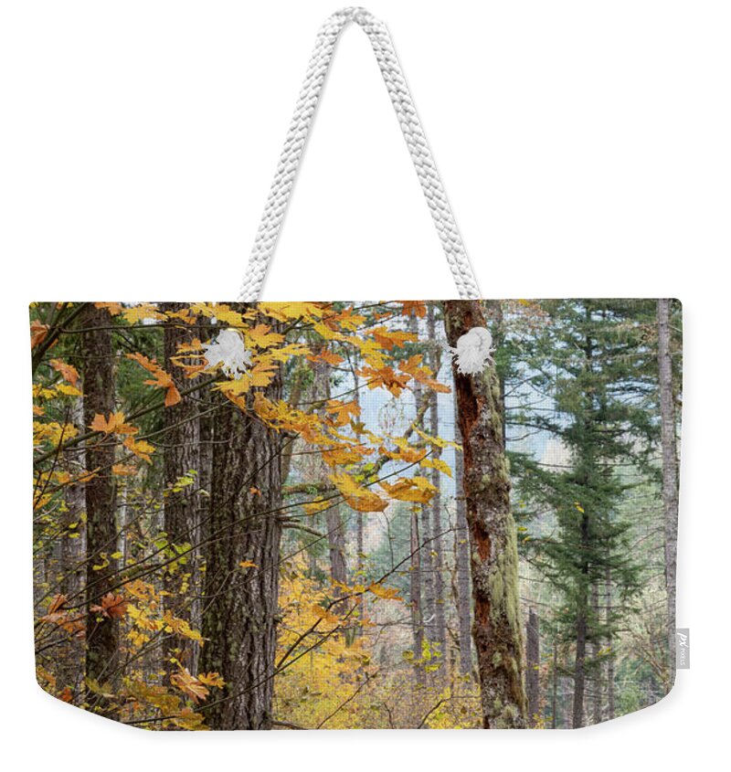 Fall Weekender Tote Bag featuring the photograph The Last of Fall by Catherine Avilez
