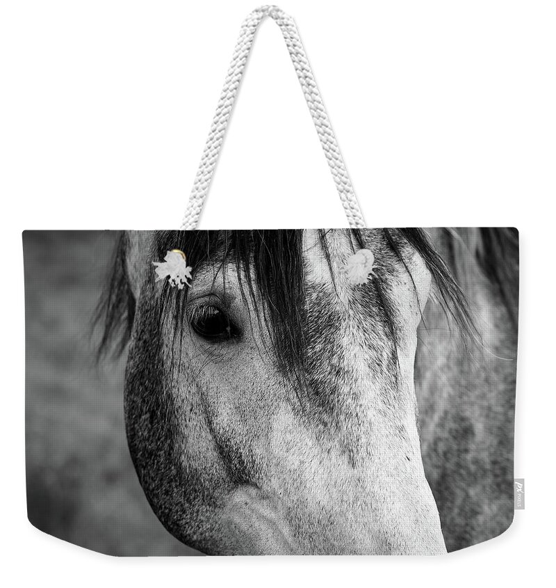 Gray Weekender Tote Bag featuring the photograph The Look Of A Horse by Nicklas Gustafsson