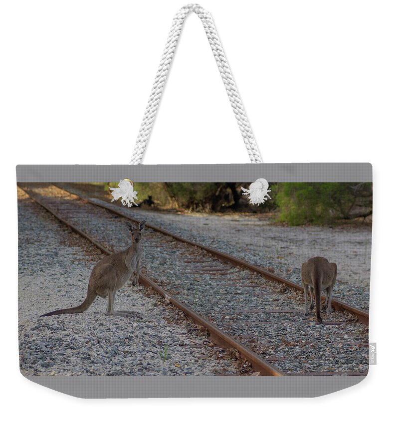 Landscape Weekender Tote Bag featuring the photograph The Lookout by Tania Read
