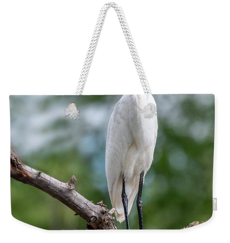 Egret Weekender Tote Bag featuring the photograph The Magestic Egret by Regina Muscarella