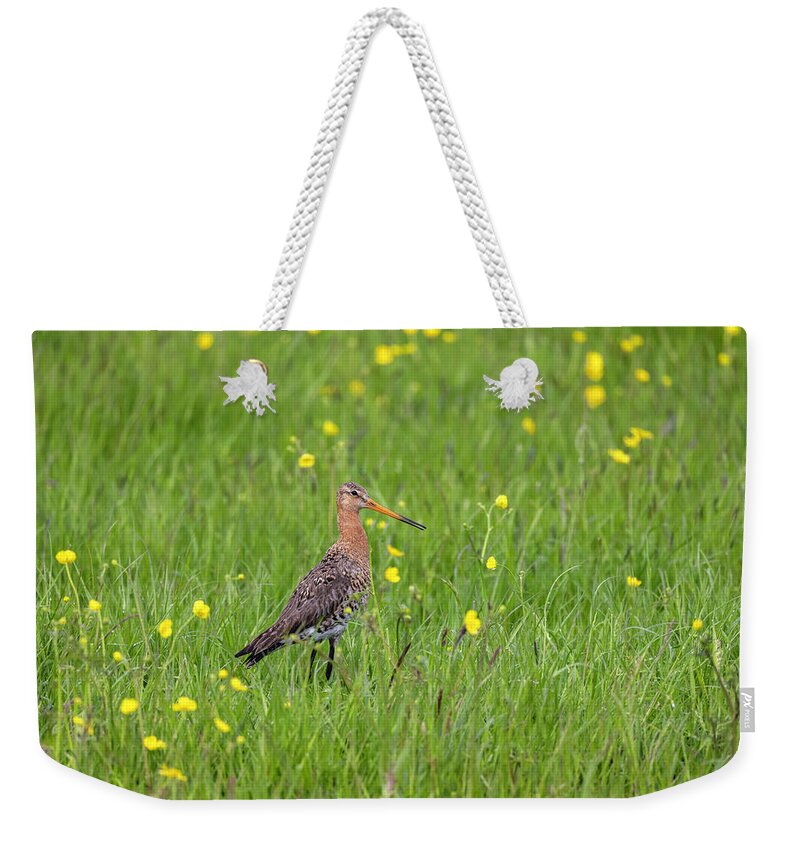 Nature Weekender Tote Bag featuring the photograph The Meadow Bird The Godwit by MPhotographer