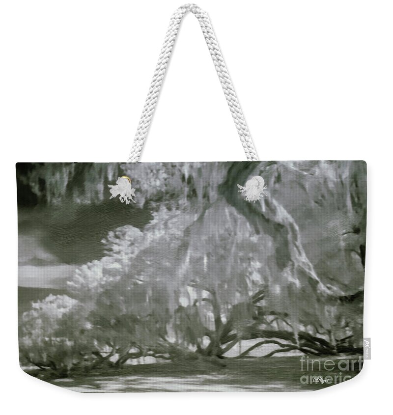 Oaks Weekender Tote Bag featuring the mixed media The Mighty Live Oak by DB Hayes
