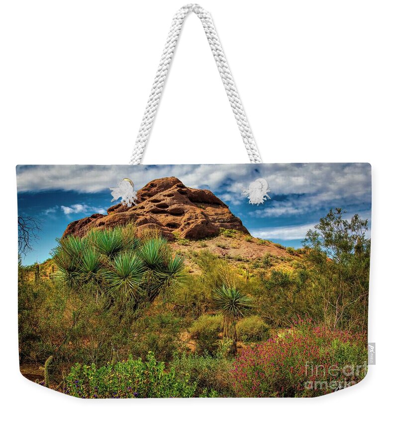 Jon Burch Weekender Tote Bag featuring the photograph The Mighty Papago by Jon Burch Photography
