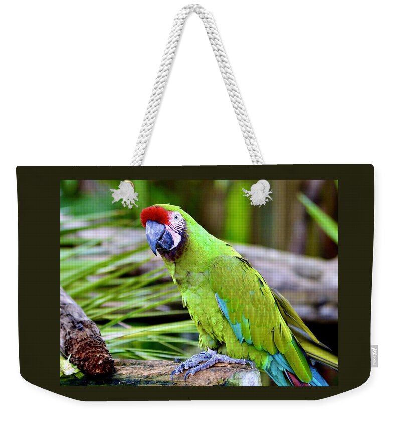 The Military Macaw Weekender Tote Bag featuring the photograph The Military Macaw by Warren Thompson