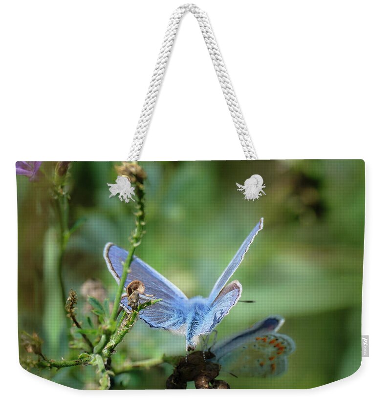Lac Fauvel Weekender Tote Bag featuring the photograph The Mirrors Butterfly by Carl Marceau