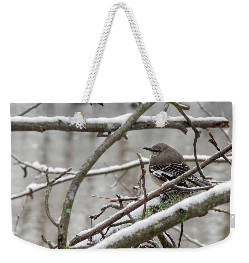 Bird Weekender Tote Bag featuring the photograph The Mockingbird by Jamie Tyler