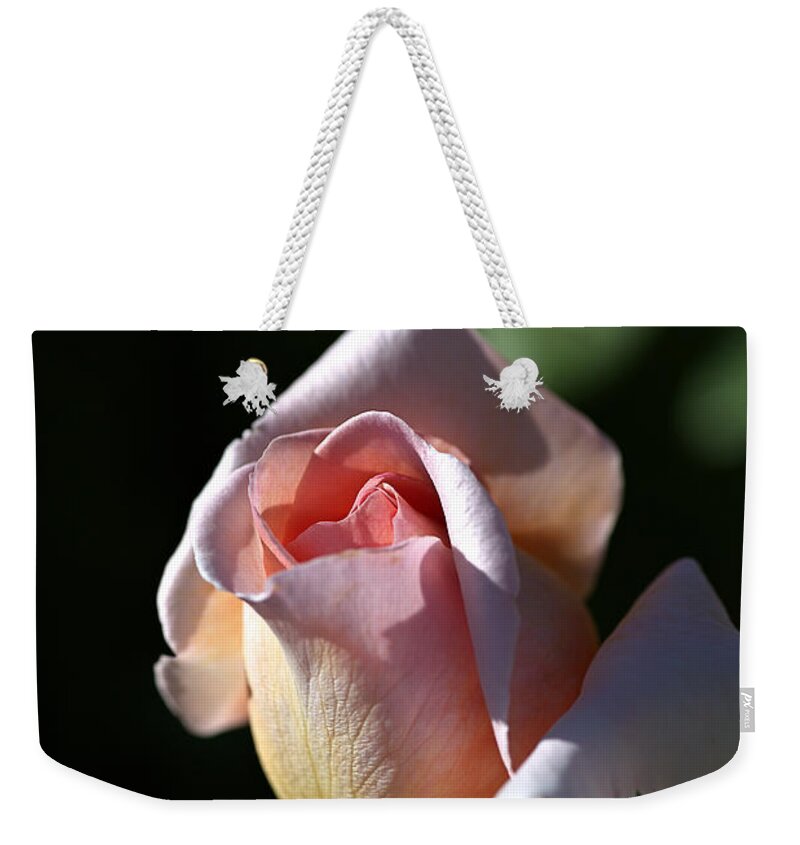 Abraham Darby Rose Flower Weekender Tote Bag featuring the photograph The Morning Pink Rose by Joy Watson
