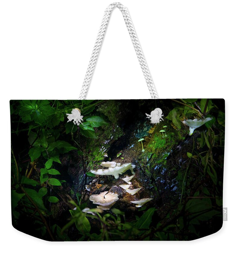 Mushrooms Weekender Tote Bag featuring the photograph The Mushroom Grotto by Mark Andrew Thomas