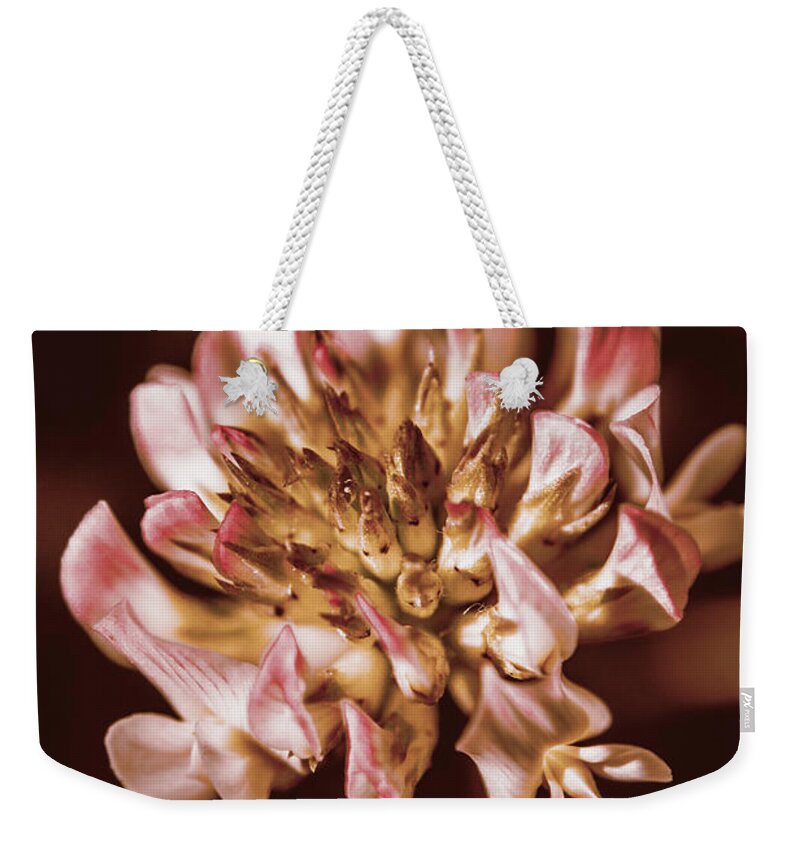 Plant Weekender Tote Bag featuring the photograph The Old Clover by Jorgo Photography