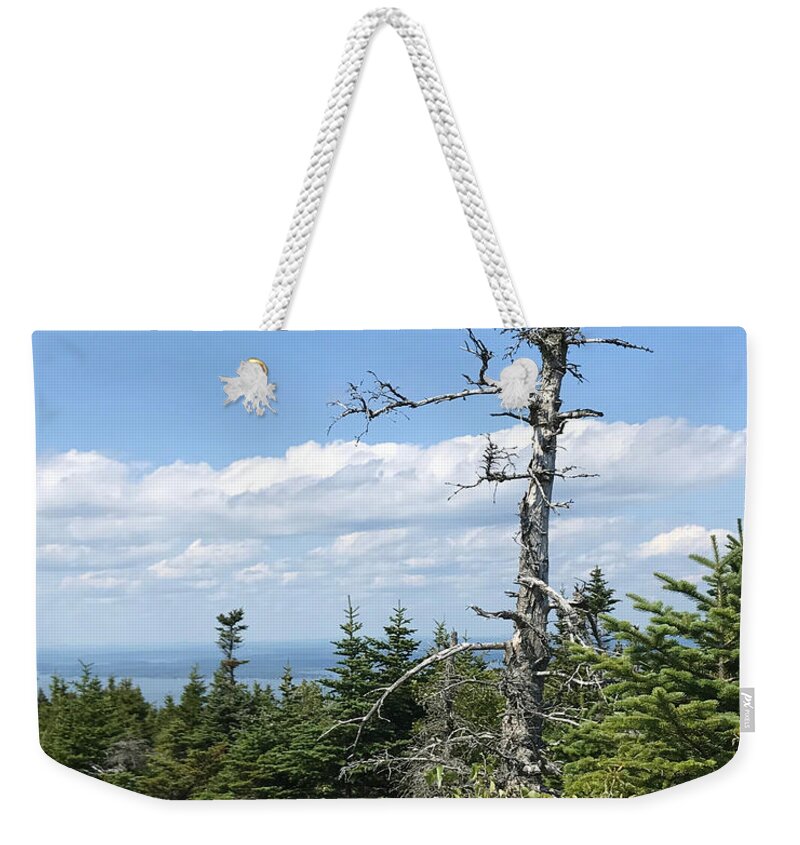 Tree Weekender Tote Bag featuring the photograph The Old Man #1 by Lee Darnell