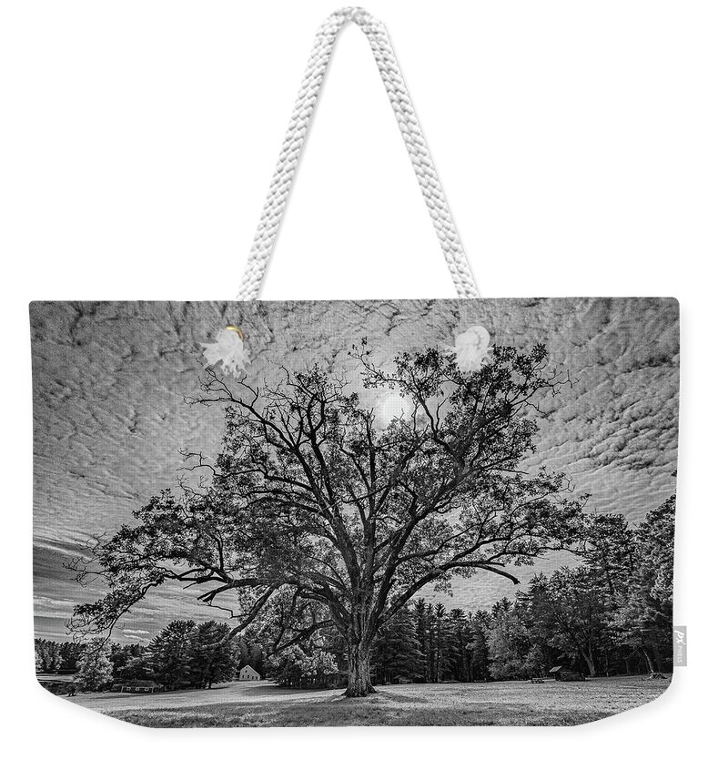 Maine Swan Island Oak Tree Weekender Tote Bag featuring the photograph The Old Oak Tree by David Hufstader