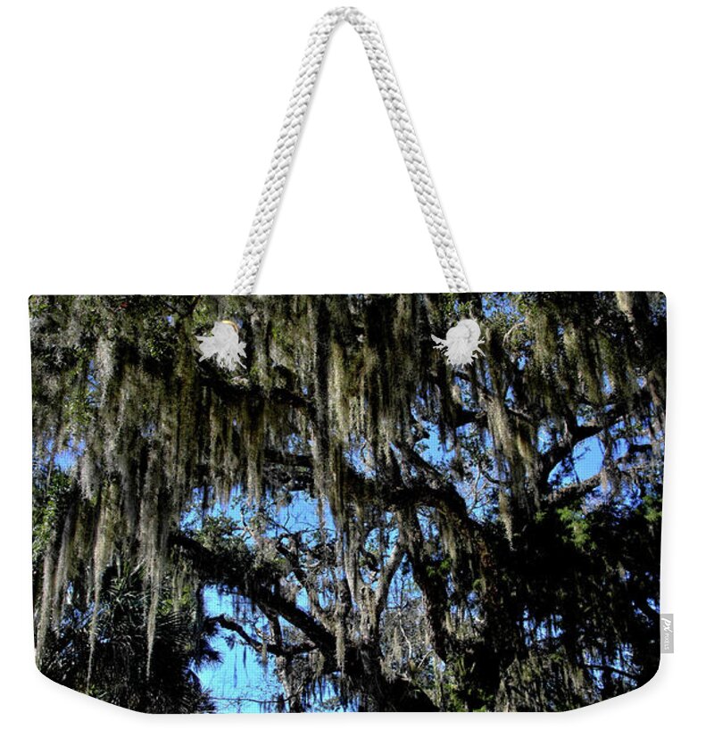 Path Weekender Tote Bag featuring the photograph The Path to the Lagoon by George Taylor