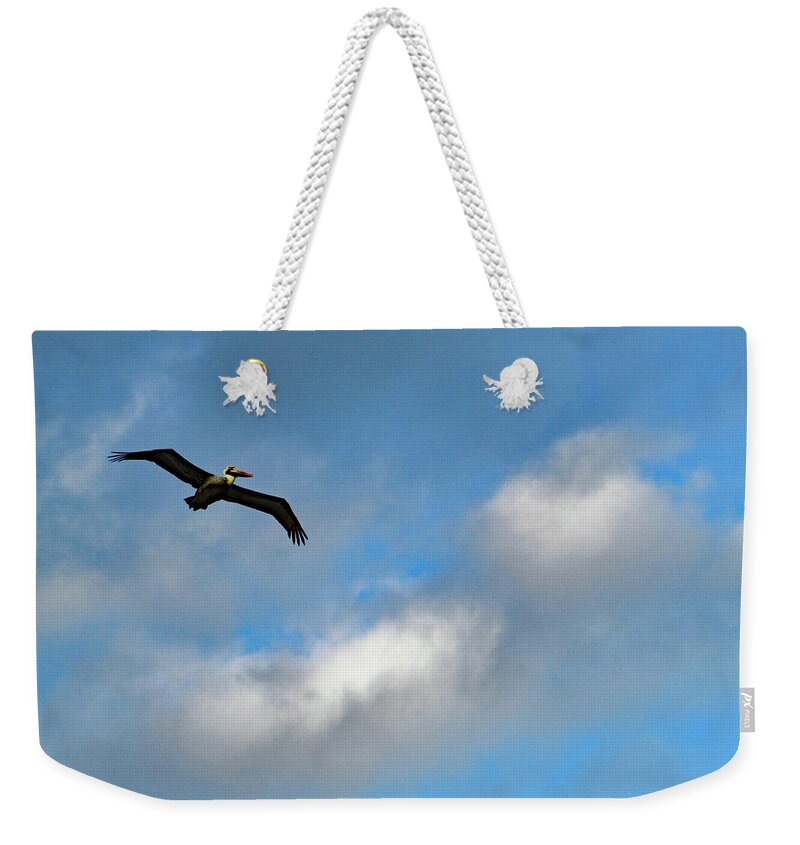 Pelican Weekender Tote Bag featuring the photograph The Pelican by Corinne Carroll