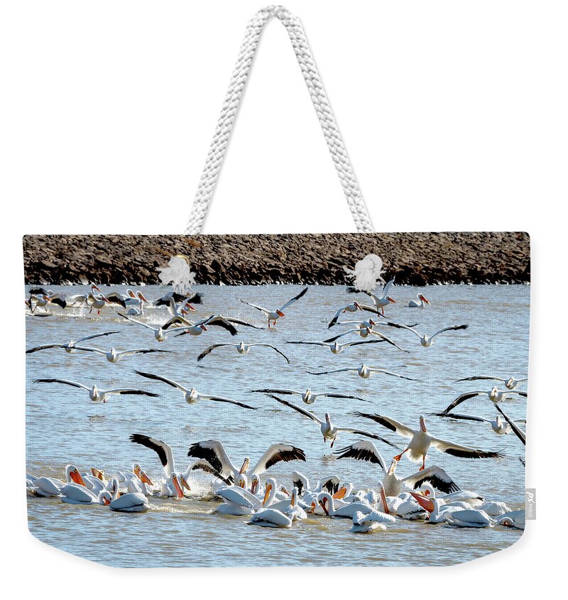 American White Pelicans Weekender Tote Bag featuring the photograph The Pelicans Found the Fish by Debra Martz