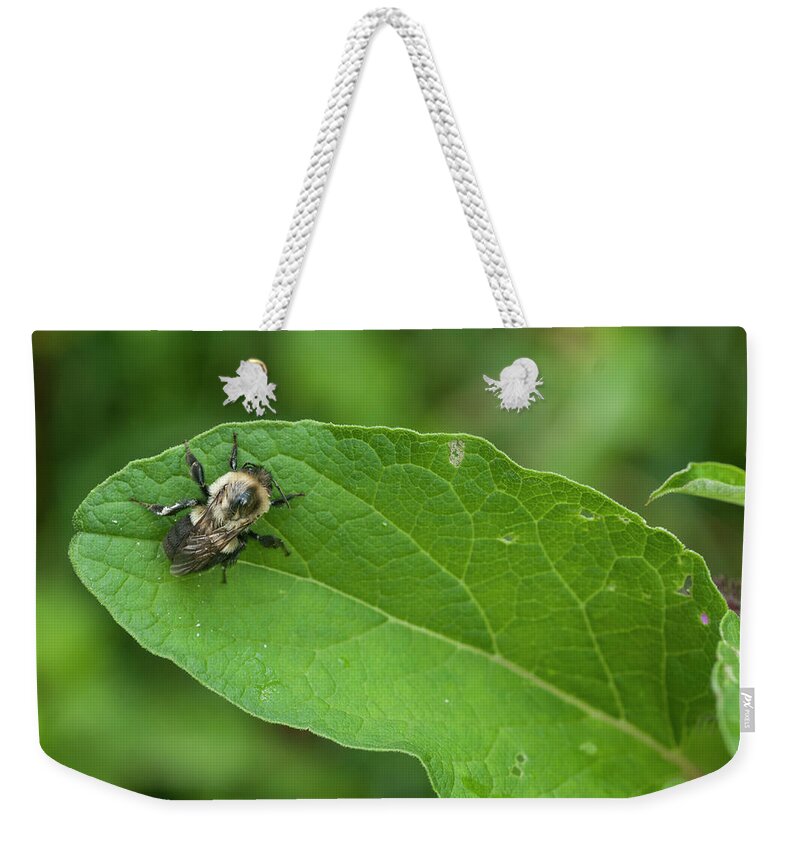 Blue Ridge Mountains Weekender Tote Bag featuring the photograph The Pollinator by Melissa Southern