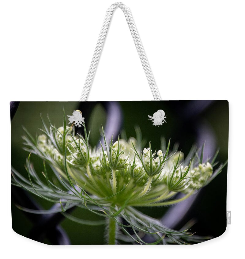Wild Flower Weekender Tote Bag featuring the photograph The Queen's Good Neighbor by Linda Bonaccorsi