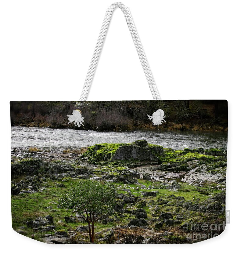 Rouge River Weekender Tote Bag featuring the photograph The Rouge River I by Theresa Fairchild