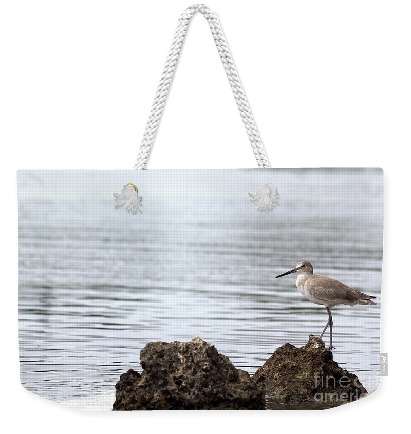 Bird; Sandpiper; Water; Gulf Of Mexico; Florida; Key West; Sunlight; Reflections; Ripples; Rocks; Beach; Weekender Tote Bag featuring the photograph The Sandpiper by Tina Uihlein
