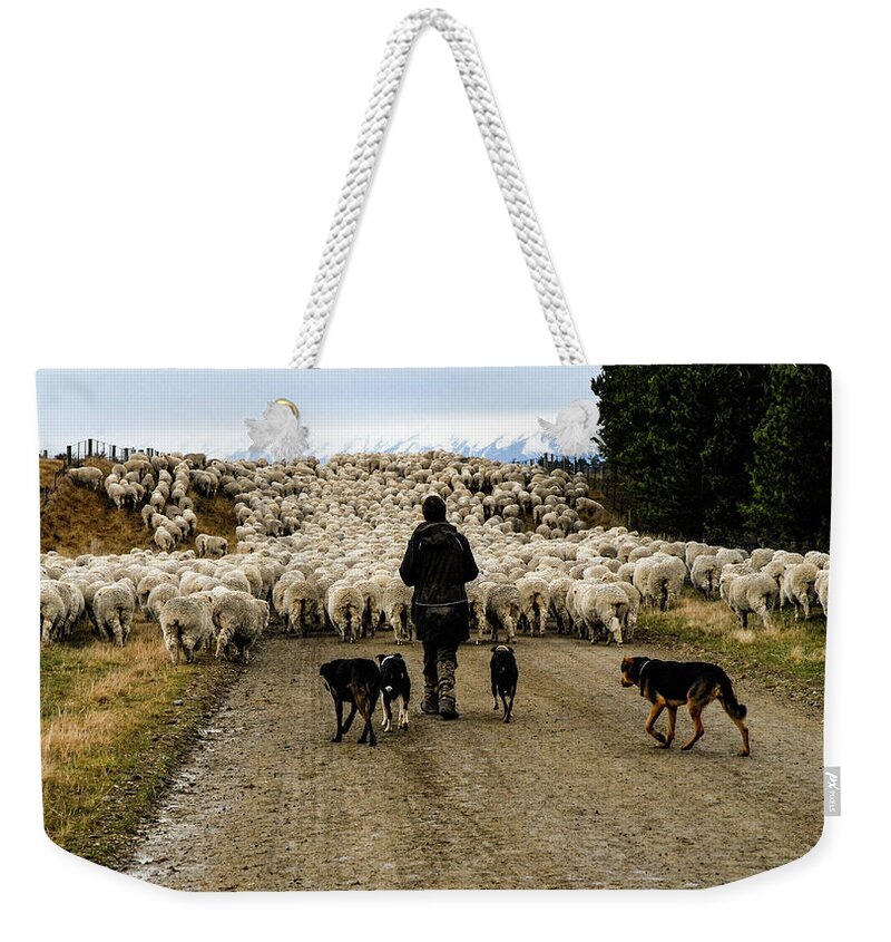New Zealand Weekender Tote Bag featuring the photograph While Shepherds Watched - High Country Muster, South Island, New Zealand by Earth And Spirit