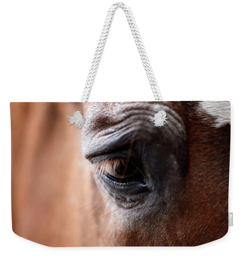 Rosemary Farm Weekender Tote Bag featuring the photograph The Soul of an Old Horse by Carien Schippers