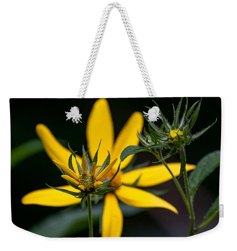 Sunflower Weekender Tote Bag featuring the photograph The Stages of Bloom by Linda Bonaccorsi