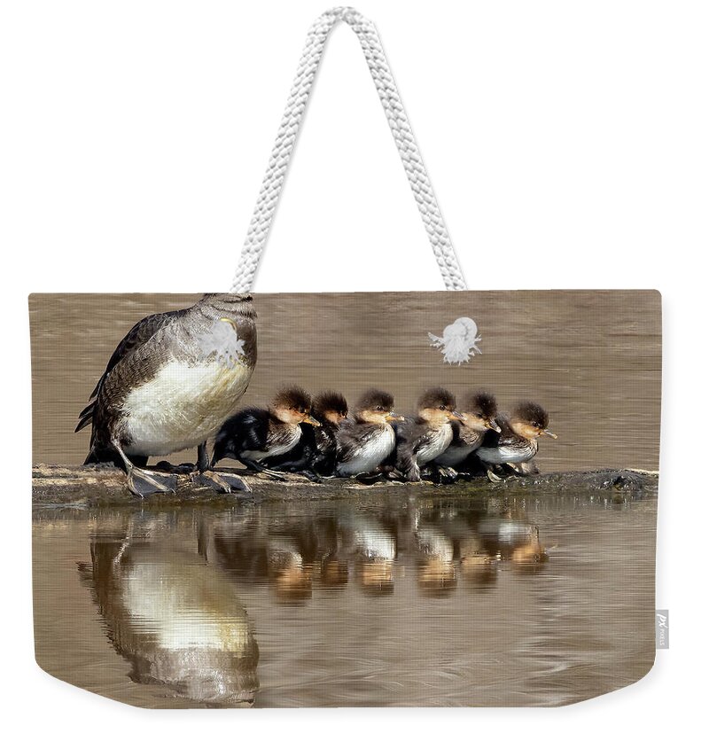 Ducks Weekender Tote Bag featuring the photograph The Starting Line by Art Cole