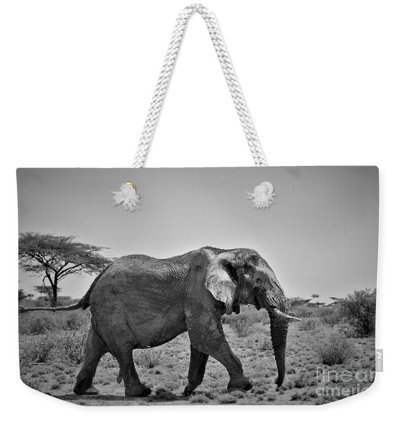Africa Weekender Tote Bag featuring the photograph The strides of a giant by Nirav Shah