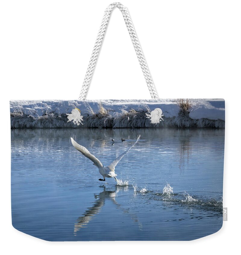 Trumpeter Swans Weekender Tote Bag featuring the photograph The Take-Off by Cheryl Strahl