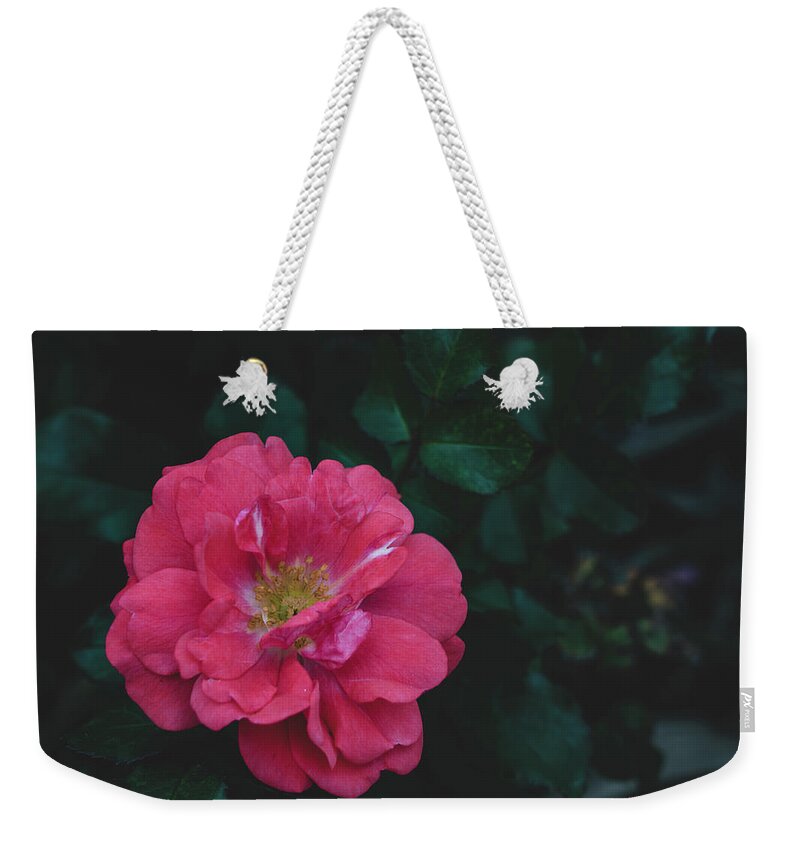 Flowers & Plants Weekender Tote Bag featuring the painting The Tiny Rose by Adam Johnson