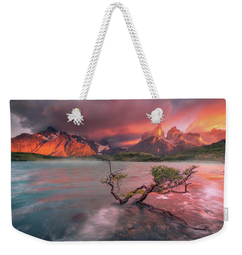 Patagonia Weekender Tote Bag featuring the photograph The Twin Trees #3 by Henry w Liu