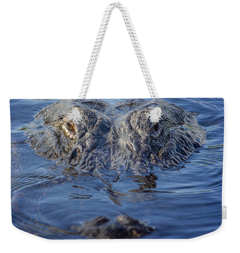 Alligator Weekender Tote Bag featuring the photograph The Visitor by Mark Andrew Thomas