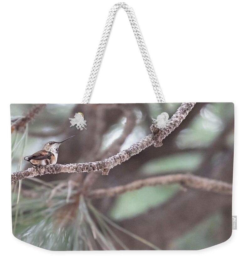 Hummingbird Weekender Tote Bag featuring the photograph The Watcher by Laura Putman