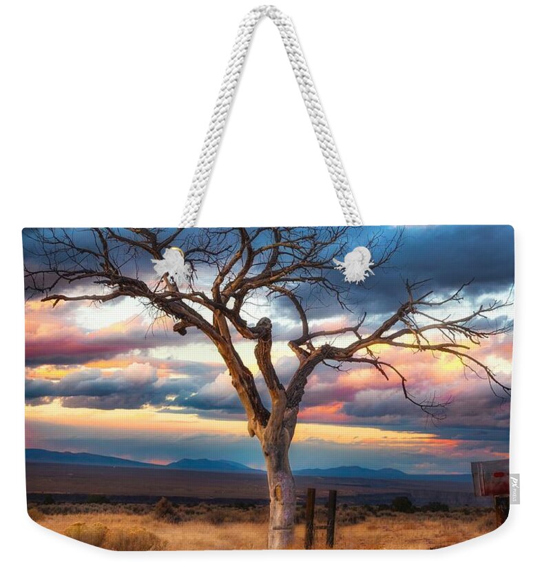 Tree Weekender Tote Bag featuring the photograph The Welcome Tree 10 by Elijah Rael