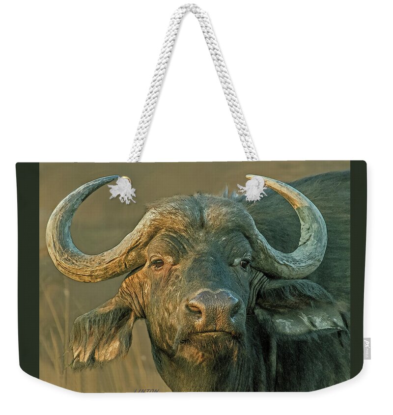 African Cape Buffalo Weekender Tote Bag featuring the digital art The Widow Maker by Larry Linton