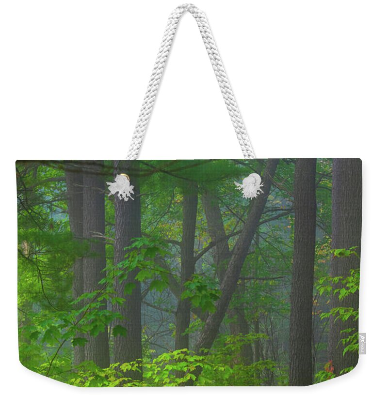 Forest Weekender Tote Bag featuring the photograph There is a Word for This by Cynthia Dickinson