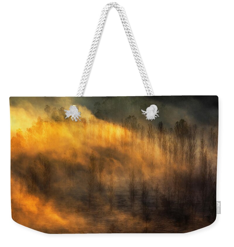 Bulgaria Weekender Tote Bag featuring the photograph Thin Forest by Evgeni Dinev