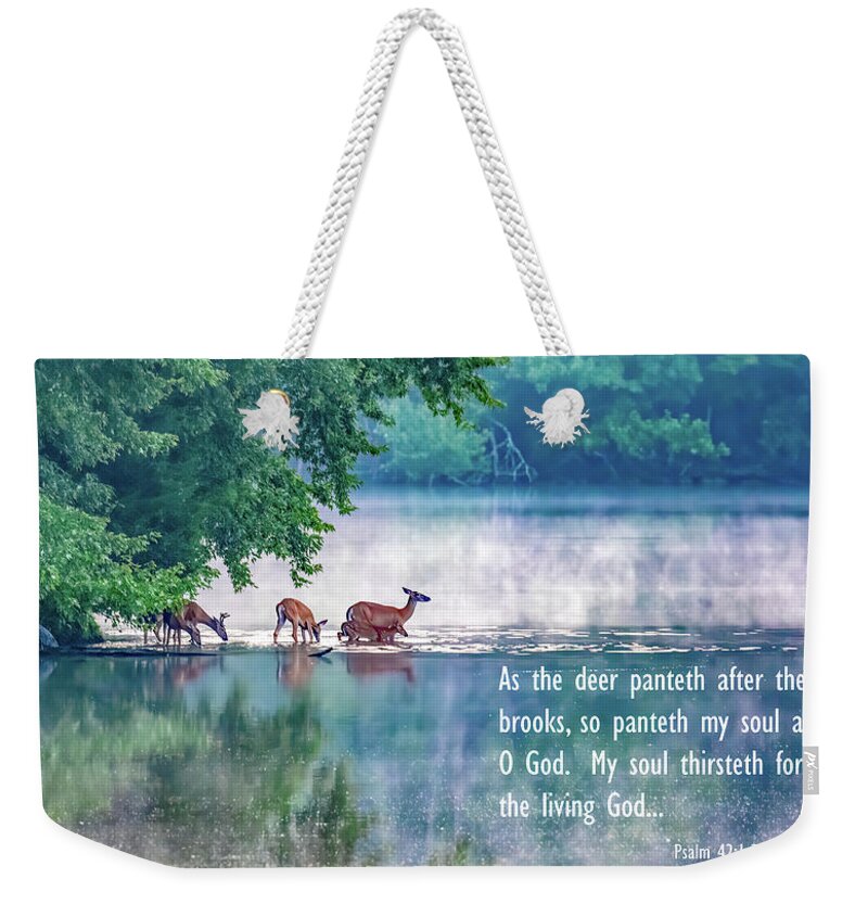 Deer Weekender Tote Bag featuring the photograph Thirsty for More Than Water by Marcy Wielfaert