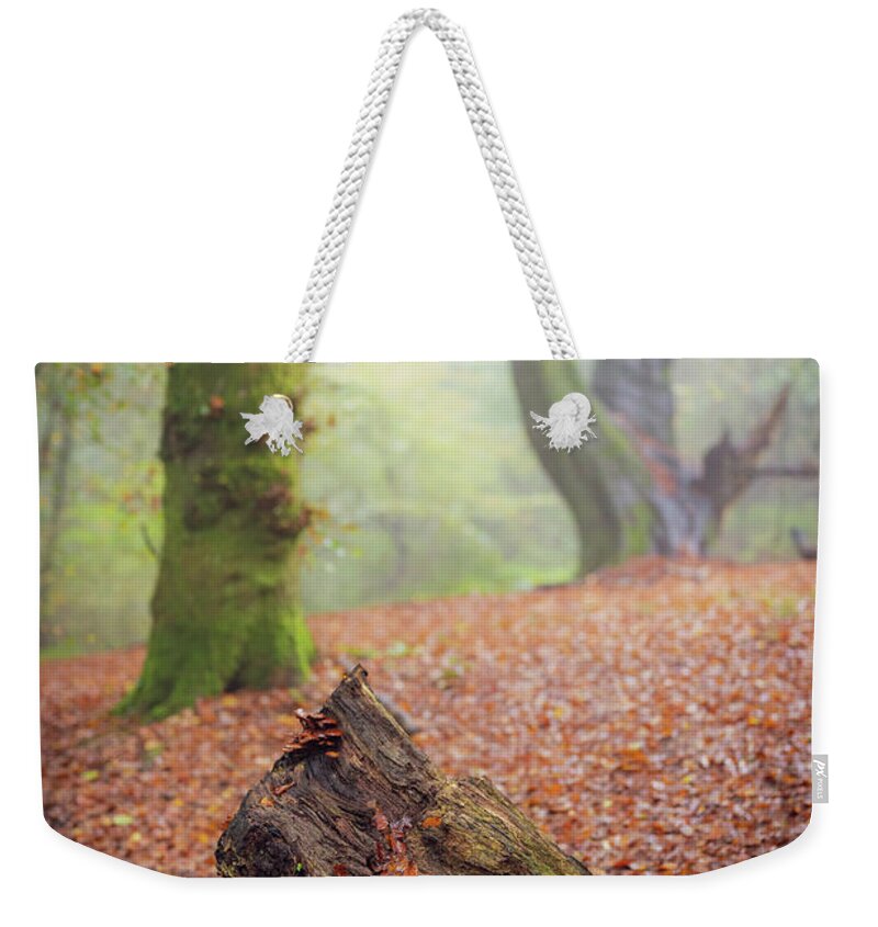 Autumn Weekender Tote Bag featuring the photograph This Autumn goes all the way to 11 by Gavin Lewis