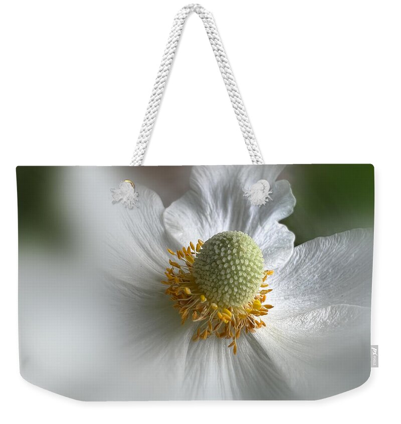 Flower Weekender Tote Bag featuring the photograph This is For You by Diane Lindon Coy