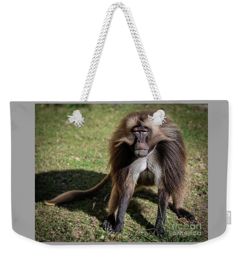 David Levin Photography Weekender Tote Bag featuring the photograph This is How I Look When I'm Happy by David Levin