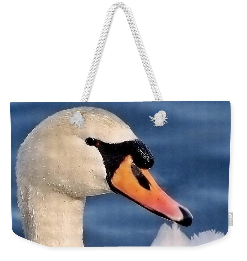 Swan Weekender Tote Bag featuring the photograph This Is My Good Side by Lori Lafargue