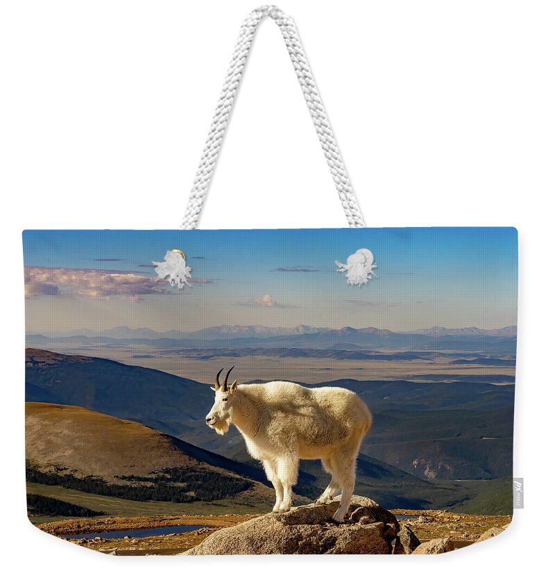 Mountain Goat Weekender Tote Bag featuring the photograph This Land is My Land by Kristal Kraft