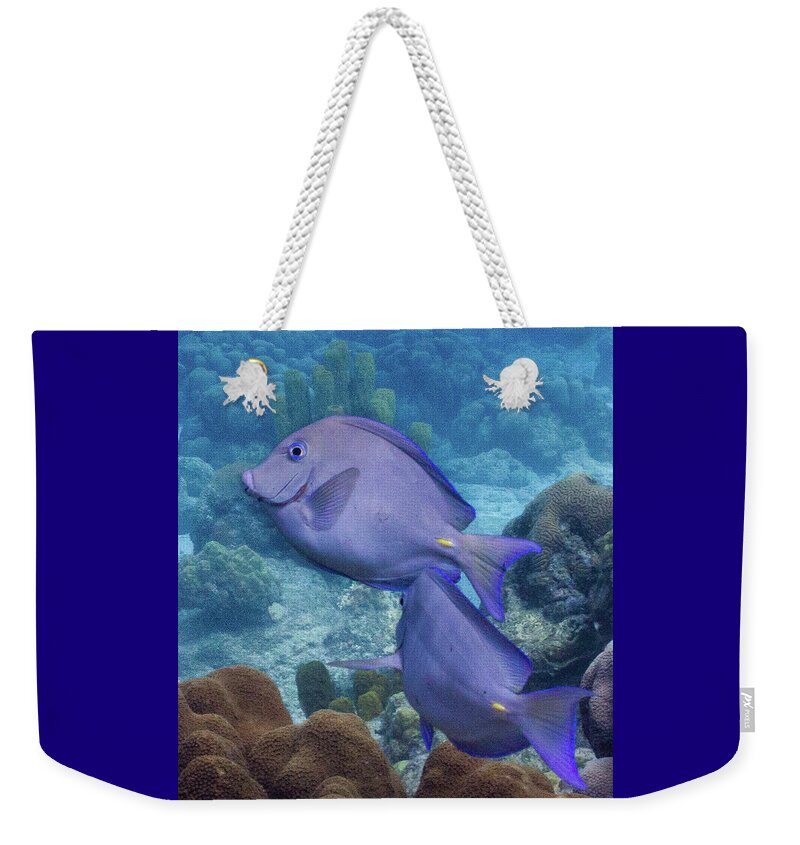 Animals Weekender Tote Bag featuring the photograph This Way by Lynne Browne